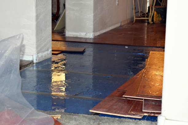 Professional Sewage Cleanup technician working in Somerset, TX